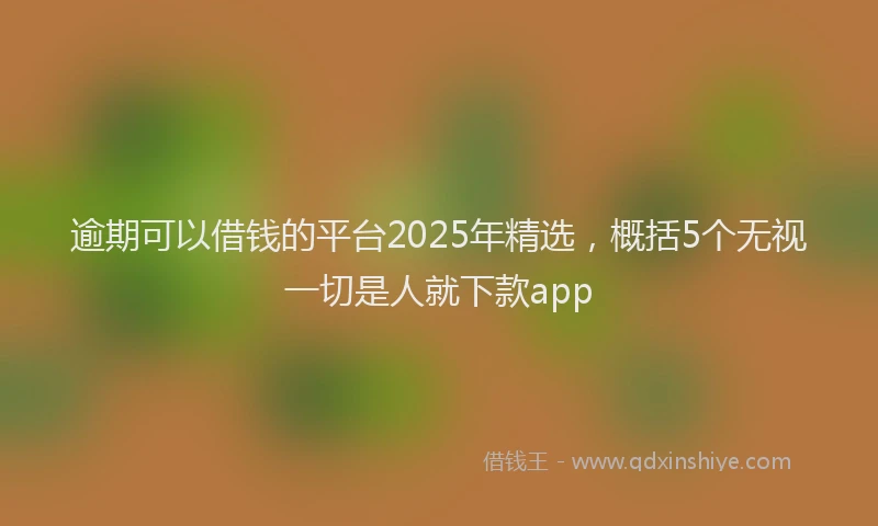 逾期可以借钱的平台2025年精选，概括5个无视一切是人就下款app