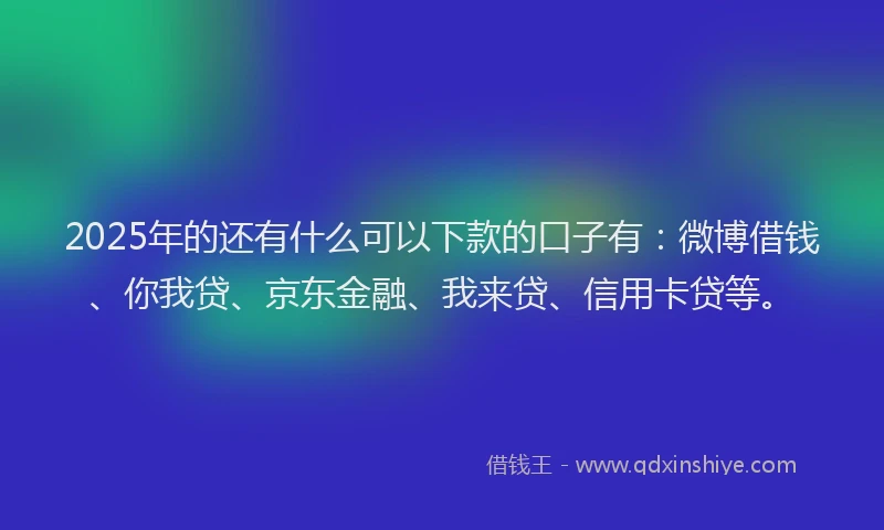 2025年的还有什么可以下款的口子有：微博借钱、你我贷、京东金融、我来贷、信用卡贷等。
