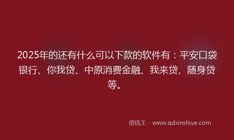 2025年的还有什么可以下款的软件有：平安口袋银行、你我贷、中原消费金融、我来贷、随身贷等。