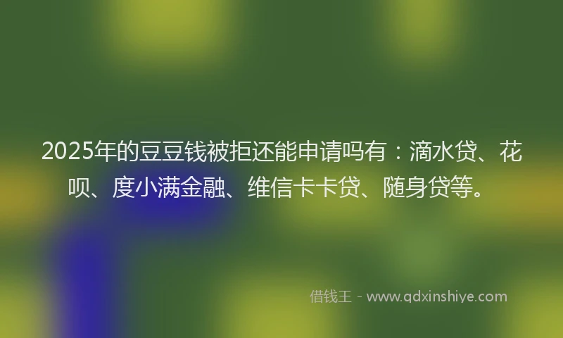 2025年的豆豆钱被拒还能申请吗有：滴水贷、花呗、度小满金融、维信卡卡贷、随身贷等。