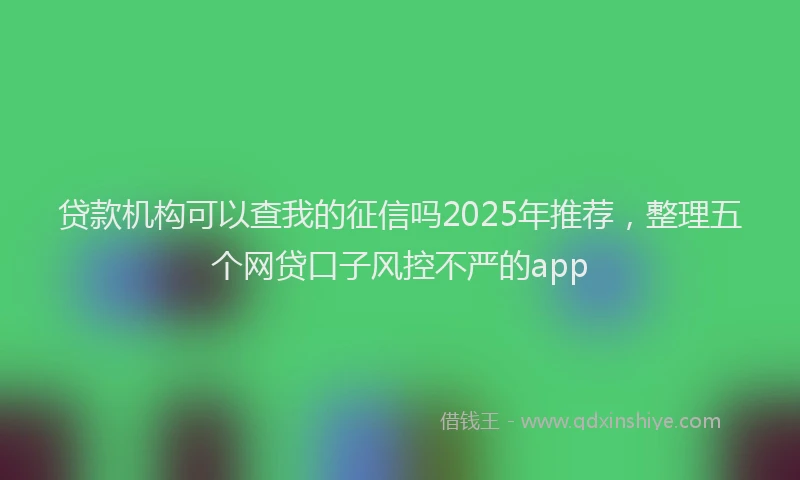 贷款机构可以查我的征信吗2025年推荐，整理五个网贷口子风控不严的app
