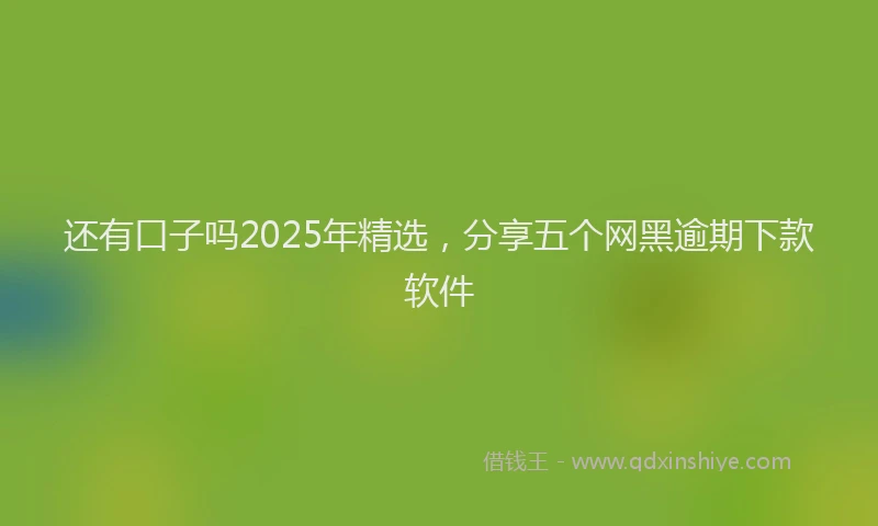 还有口子吗2025年精选，分享五个网黑逾期下款软件
