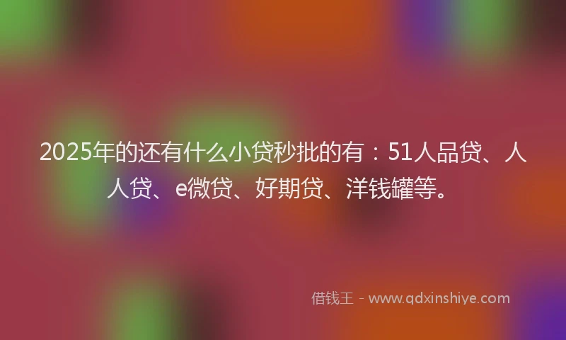 2025年的还有什么小贷秒批的有：51人品贷、人人贷、e微贷、好期贷、洋钱罐等。