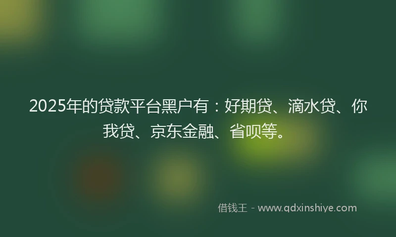2025年的贷款平台黑户有：好期贷、滴水贷、你我贷、京东金融、省呗等。