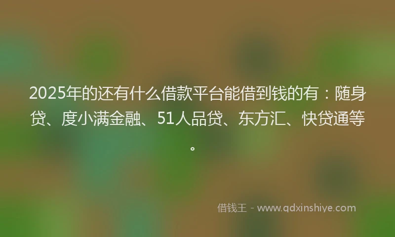 2025年的还有什么借款平台能借到钱的有：随身贷、度小满金融、51人品贷、东方汇、快贷通等。