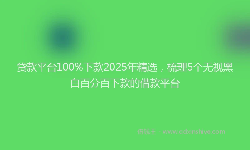 贷款平台100%下款2025年精选，梳理5个无视黑白百分百下款的借款平台