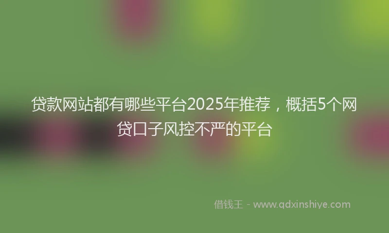 贷款网站都有哪些平台2025年推荐，概括5个网贷口子风控不严的平台