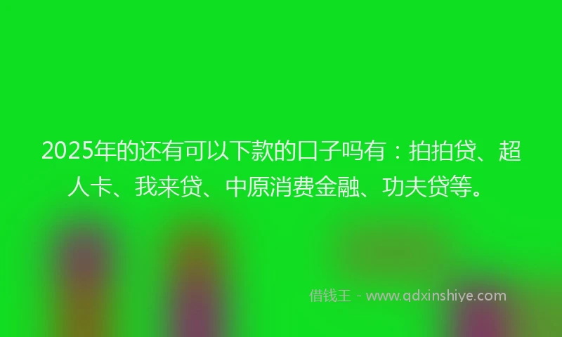 2025年的还有可以下款的口子吗有：拍拍贷、超人卡、我来贷、中原消费金融、功夫贷等。