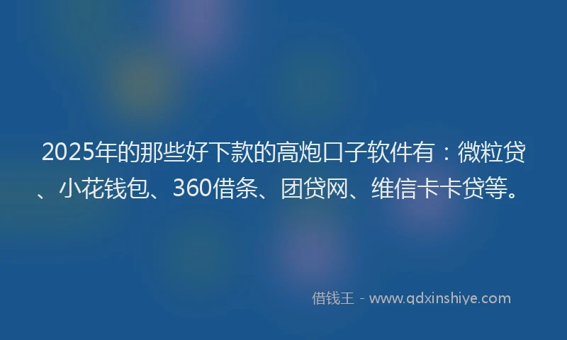 2025年的那些好下款的高炮口子软件有：微粒贷、小花钱包、360借条、团贷网、维信卡卡贷等。