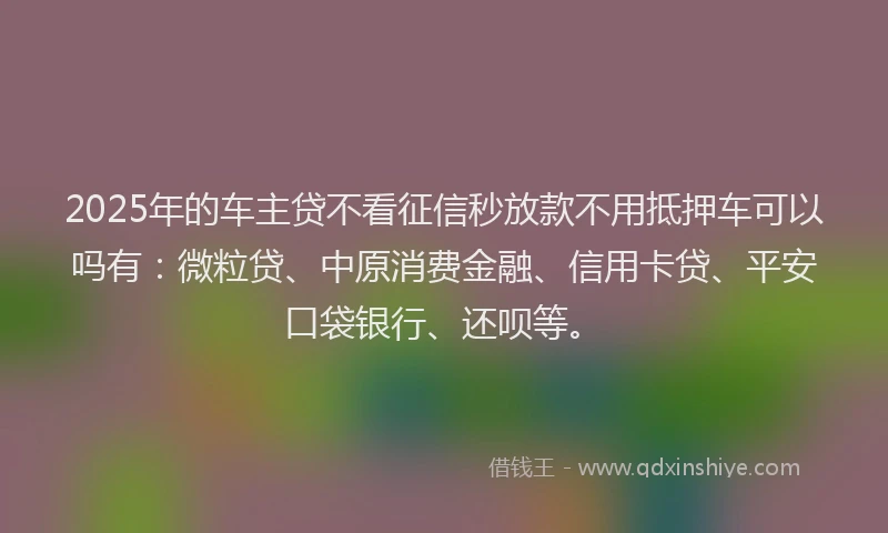 2025年的车主贷不看征信秒放款不用抵押车可以吗有：微粒贷、中原消费金融、信用卡贷、平安口袋银行、还呗等。