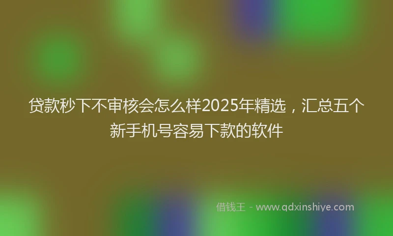贷款秒下不审核会怎么样2025年精选，汇总五个新手机号容易下款的软件