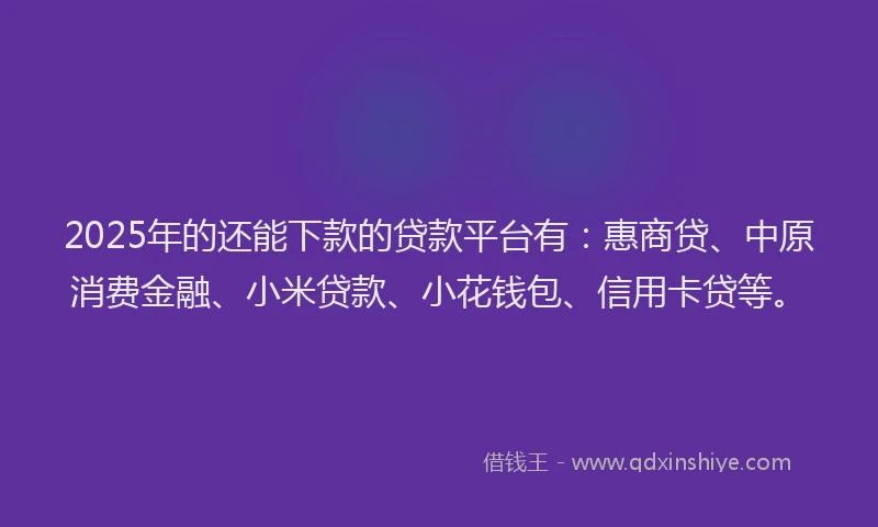 2025年的还能下款的贷款平台有：惠商贷、中原消费金融、小米贷款、小花钱包、信用卡贷等。