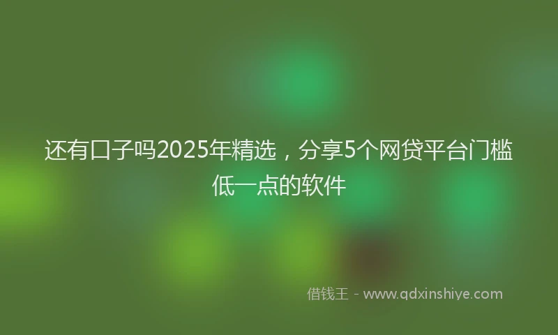 还有口子吗2025年精选，分享5个网贷平台门槛低一点的软件