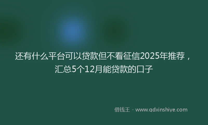 还有什么平台可以贷款但不看征信2025年推荐，汇总5个12月能贷款的口子