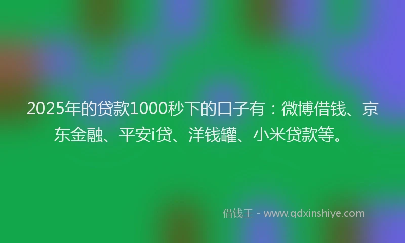 2025年的贷款1000秒下的口子有：微博借钱、京东金融、平安i贷、洋钱罐、小米贷款等。
