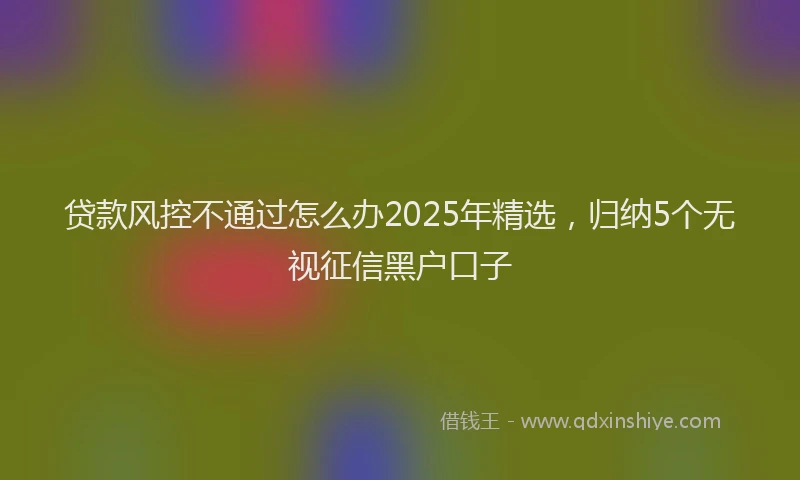 贷款风控不通过怎么办2025年精选，归纳5个无视征信黑户口子