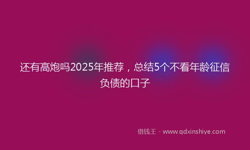 还有高炮吗2025年推荐，总结5个不看年龄征信负债的口子