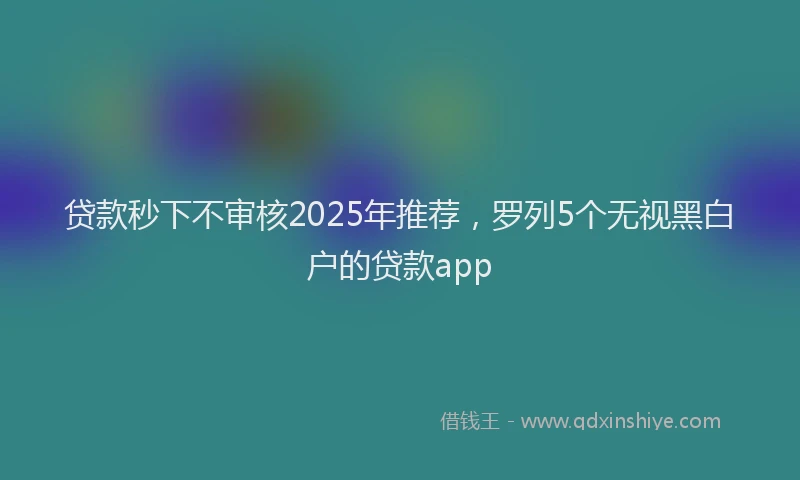 贷款秒下不审核2025年推荐，罗列5个无视黑白户的贷款app