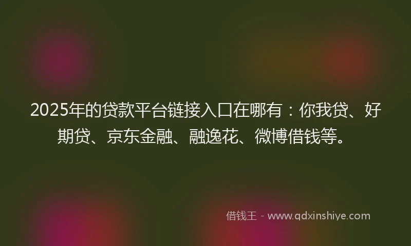 2025年的贷款平台链接入口在哪有：你我贷、好期贷、京东金融、融逸花、微博借钱等。