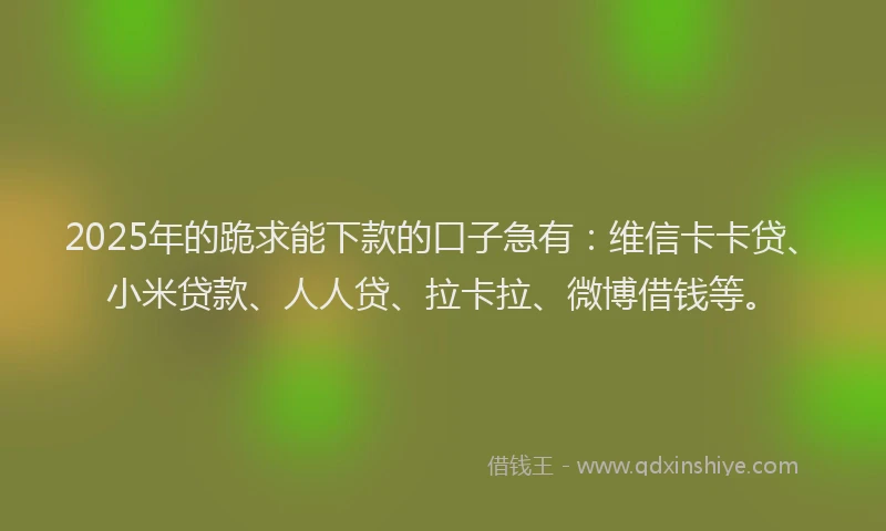 2025年的跪求能下款的口子急有：维信卡卡贷、小米贷款、人人贷、拉卡拉、微博借钱等。