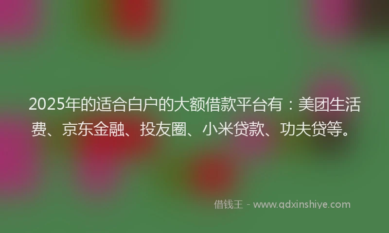 2025年的适合白户的大额借款平台有：美团生活费、京东金融、投友圈、小米贷款、功夫贷等。