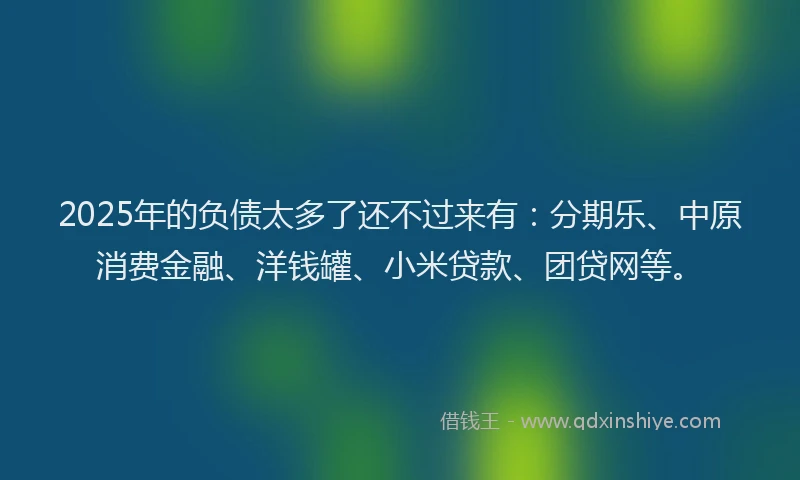 2025年的负债太多了还不过来有：分期乐、中原消费金融、洋钱罐、小米贷款、团贷网等。