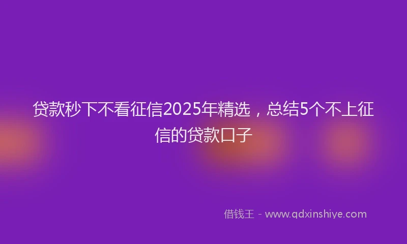 贷款秒下不看征信2025年精选，总结5个不上征信的贷款口子