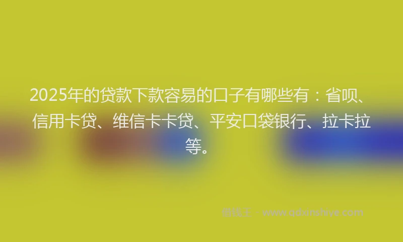 2025年的贷款下款容易的口子有哪些有：省呗、信用卡贷、维信卡卡贷、平安口袋银行、拉卡拉等。