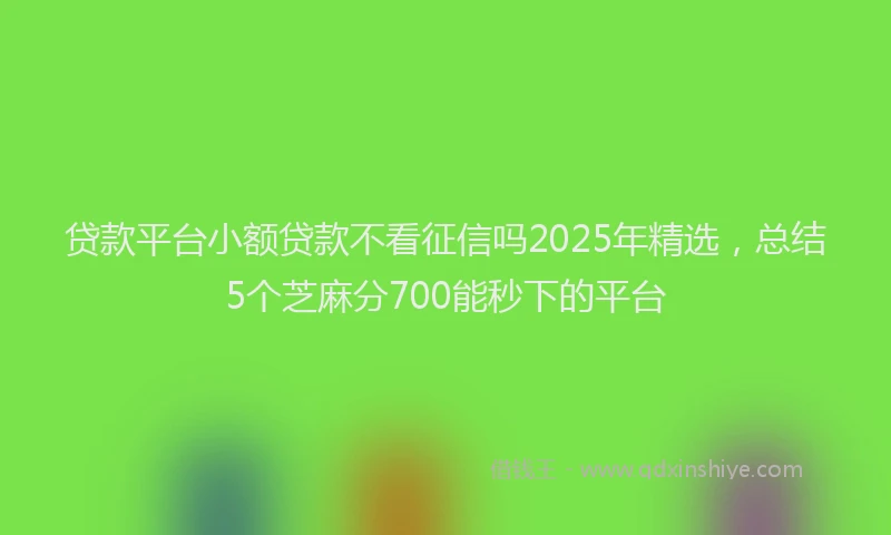 贷款平台小额贷款不看征信吗2025年精选，总结5个芝麻分700能秒下的平台