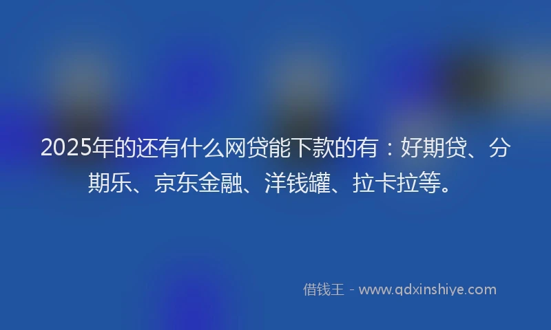 2025年的还有什么网贷能下款的有：好期贷、分期乐、京东金融、洋钱罐、拉卡拉等。
