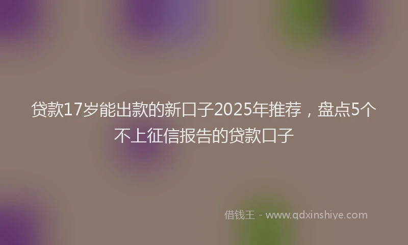 贷款17岁能出款的新口子2025年推荐，盘点5个不上征信报告的贷款口子