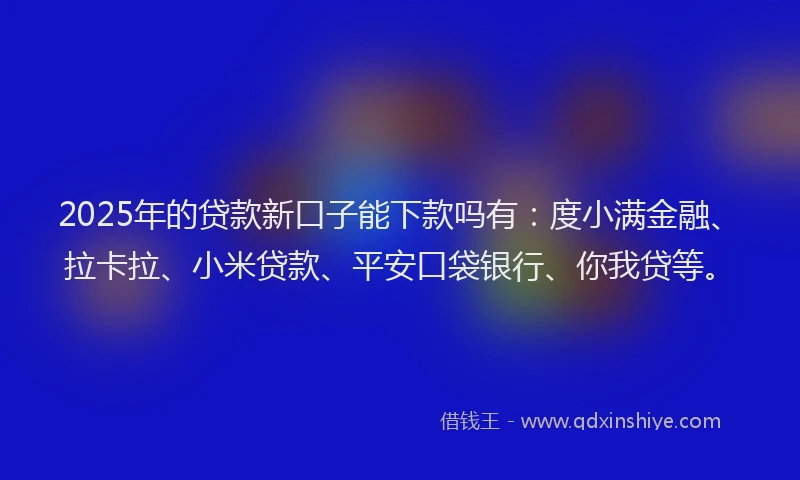 2025年的贷款新口子能下款吗有：度小满金融、拉卡拉、小米贷款、平安口袋银行、你我贷等。