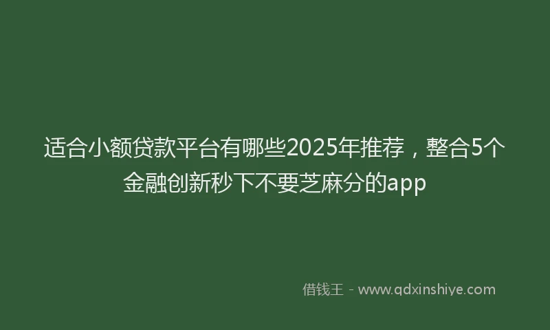 适合小额贷款平台有哪些2025年推荐，整合5个金融创新秒下不要芝麻分的app
