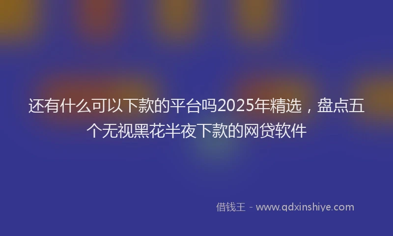 还有什么可以下款的平台吗2025年精选，盘点五个无视黑花半夜下款的网贷软件