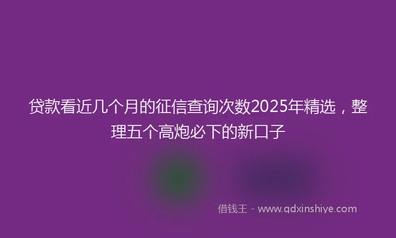 贷款看近几个月的征信查询次数2025年精选，整理五个高炮必下的新口子