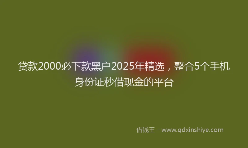 贷款2000必下款黑户2025年精选，整合5个手机身份证秒借现金的平台
