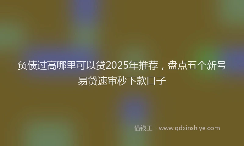 负债过高哪里可以贷2025年推荐，盘点五个新号易贷速审秒下款口子