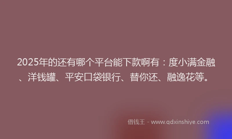2025年的还有哪个平台能下款啊有：度小满金融、洋钱罐、平安口袋银行、替你还、融逸花等。