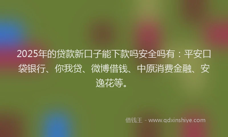 2025年的贷款新口子能下款吗安全吗有：平安口袋银行、你我贷、微博借钱、中原消费金融、安逸花等。