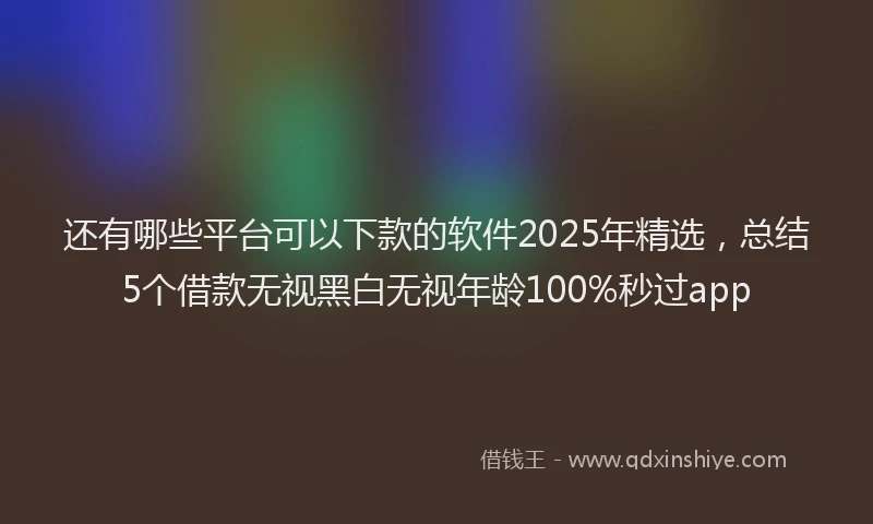 还有哪些平台可以下款的软件2025年精选，总结5个借款无视黑白无视年龄100%秒过app