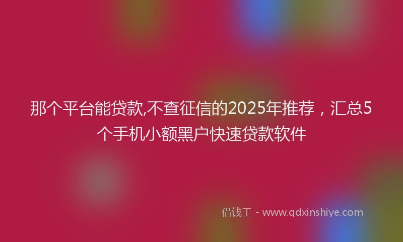 那个平台能贷款,不查征信的2025年推荐，汇总5个手机小额黑户快速贷款软件