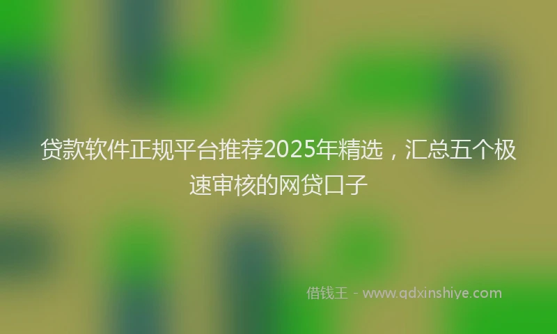 贷款软件正规平台推荐2025年精选，汇总五个极速审核的网贷口子