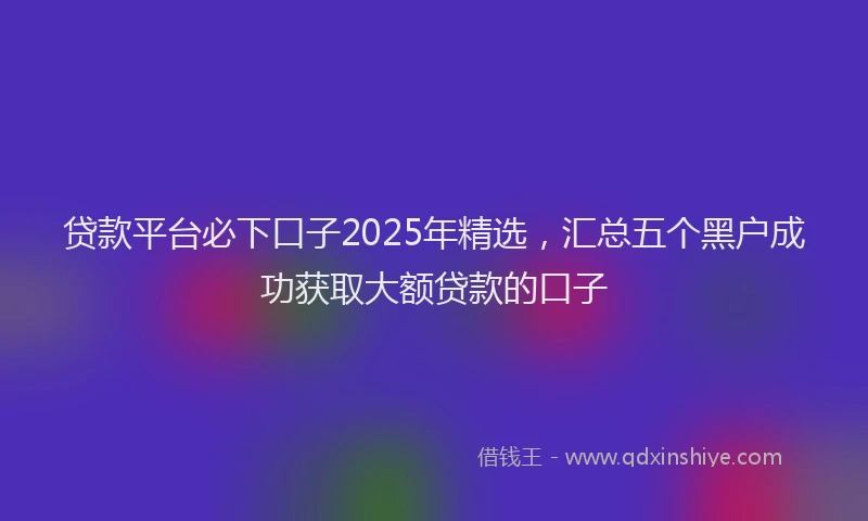 贷款平台必下口子2025年精选，汇总五个黑户成功获取大额贷款的口子