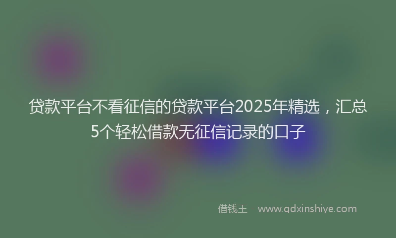 贷款平台不看征信的贷款平台2025年精选，汇总5个轻松借款无征信记录的口子