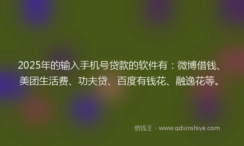 2025年的输入手机号贷款的软件有：微博借钱、美团生活费、功夫贷、百度有钱花、融逸花等。