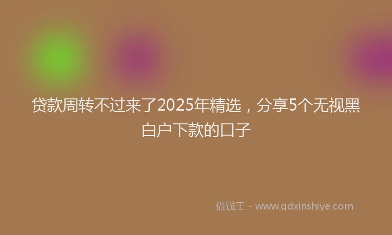 贷款周转不过来了2025年精选，分享5个无视黑白户下款的口子