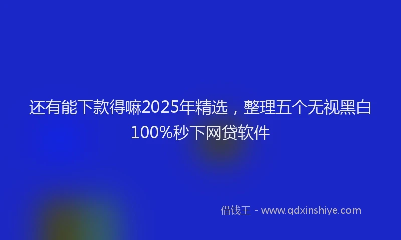 还有能下款得嘛2025年精选，整理五个无视黑白100%秒下网贷软件