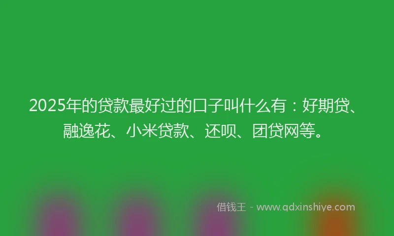 2025年的贷款最好过的口子叫什么有：好期贷、融逸花、小米贷款、还呗、团贷网等。