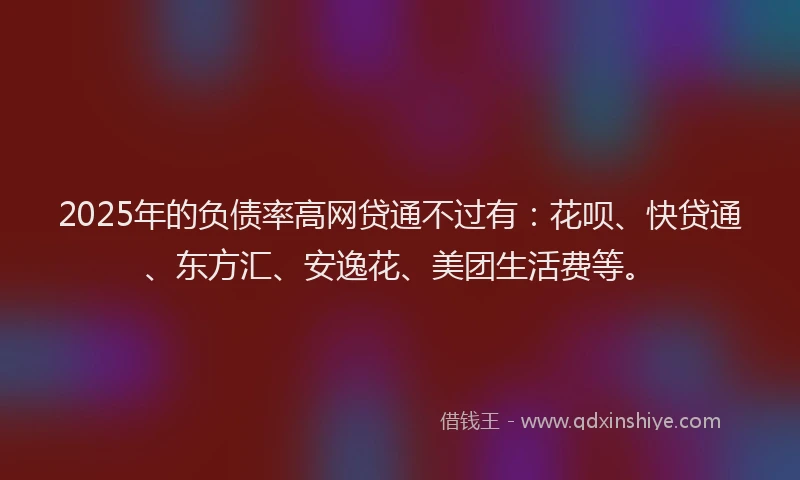 2025年的负债率高网贷通不过有：花呗、快贷通、东方汇、安逸花、美团生活费等。