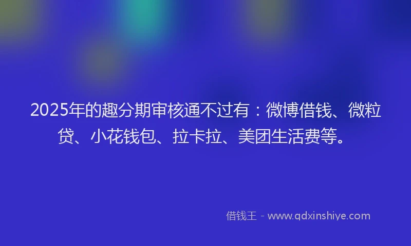 2025年的趣分期审核通不过有：微博借钱、微粒贷、小花钱包、拉卡拉、美团生活费等。